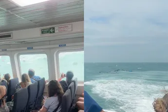 Ferry naar Koh Samui verliest koffers tijdens ruige oversteek