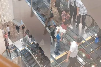 Hond op de roltrap gaat precies zo mis als je vreest