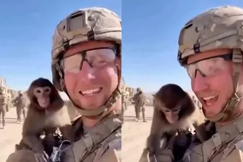 Je moet twee keer kijken, maar aapje trekt pin uit granaat video is gemaakt met AI