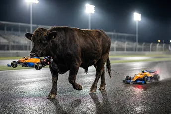 Max Verstappen wint Qatar en loopt in op Lando Norris, titelstrijd beslist in slotrace