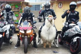 Gewoon een verzameling hilarische foto's #2154