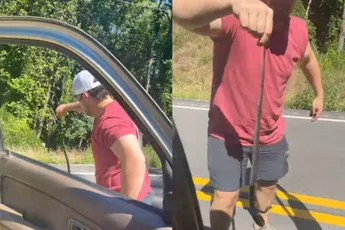 Klassiek gevalletje FAFO: Australische slangenvanger helpt zichzelf in de problemen