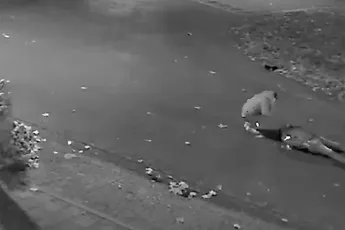 Boosmaakvideo uit Heesch laat zien hoe man op de grond wordt beroofd