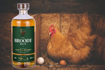 Whisky Names Explained: The Broody Hen