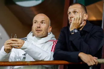 'Geelen en Panday zijn uiteindelijk verantwoordelijk voor het lot van Heitinga'