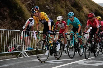 Lubberding over tactiek Jumbo-Visma: 'Roglic had Bernal moeten testen'