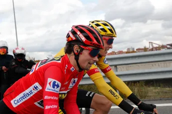 Roglic niet betrokken bij valpartij: 'Gesink reed Primoz op dat moment net naar voren'