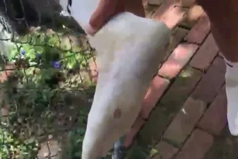 Reijnen (Trek-Segafredo) rent 27 kilometer zonder schoenen na pech in Gravel Unbound