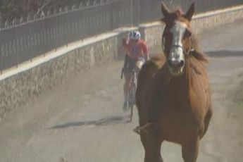 Dolle boel in Siena: Vollering rekent af met loslopend paard en ploeggenote Kopecky in Strade Bianche