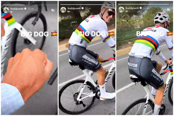 📸 Bizarre! Mathieu 'Big Dog' van der Poel back to cycling and serious run in first 24 hours after Tour of Flanders victory