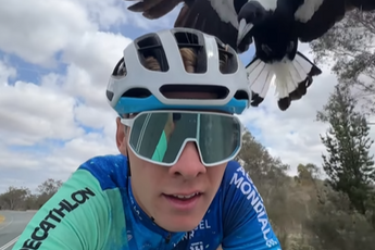 Ondertussen in het peloton | Osar Chamberlain wordt tijdens training aangevallen door 'Australian Magpie’