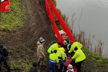 Ondertussen in het peloton | Toptalent Ferguson moet nachtje in ziekenhuis blijven na val in Hulst