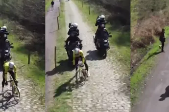 🎥 Oef! Wout van Aert ontsnapt maar net aan valpartij in Bos van Wallers tijdens verkenning Parijs-Roubaix