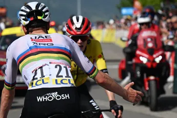 Koerstactiek Vingegaard en Evenepoel viel op bij De Cauwer: 'Ga niet zeggen dat hij geen moeite heeft gedaan, maar...'