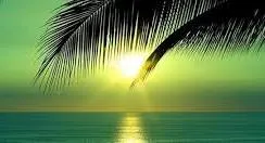 Test waseem 11 1995 yyyy