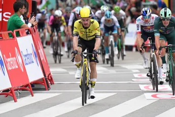 Grote domper voor Vingegaard en Visma | LaB, ook Movistar ziet renner afstappen als gevolg van crash door demonstrant