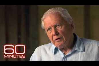 Video | Interview met Attenborough bij 60 Minutes