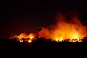 Extreme droogte en massale bosbranden hebben gezorgd voor de vernietiging van 2,5 miljard bomen in Amazone