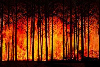 Gigantische bosbranden teisteren Siberië; weersextremen nemen overal in de wereld toe