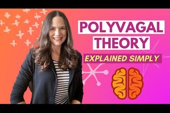 Video | Wat is de polyvagaal theorie?