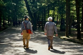 Onderzoek toont verband tussen 30 minuten wandelen en verbeterde cognitieve prestaties