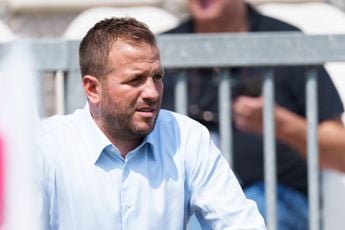 'Maak Rafael van der Vaart technisch directeur van Ajax'