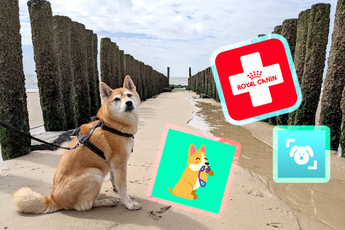 5 onmisbare apps voor eigenaars van honden