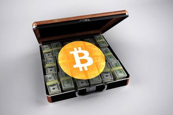 Bitwise in één fonds de hele Bitcoin en cryptomarkt vangen