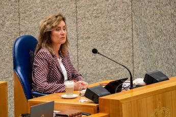 Kamervoorzitter Bergkamp gaat taalpolitie spelen: 'Kamerlid mag minister niet meer 'knettergek' noemen'