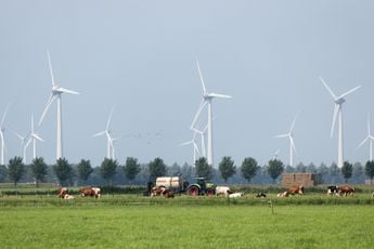 Overheid verknalt bouw 25 windmolenparken door bureaucratie: Milieutoets ontbreekt, dus geen vergunning