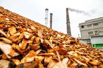 Biomassa is volksverlakkende waanzin die maar blijft voortbestaan, zelfs nu Urgenda ervan afstapt: onzinnig!