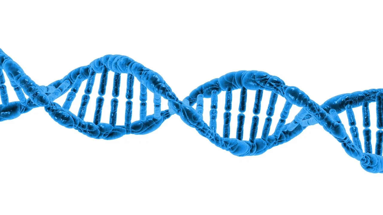 dna 163710 1280