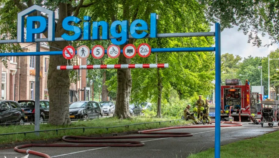 p singel 915x518 1