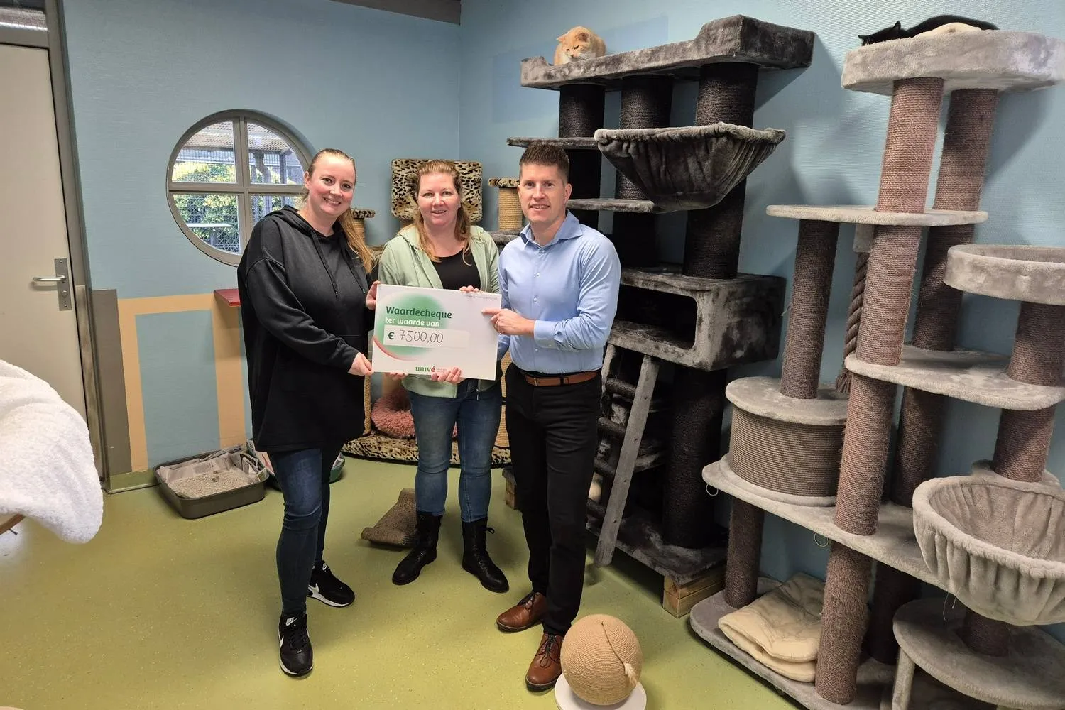 p8fgTdWuBLWopDoOCbpbKElNgoBdlURl1Sgv0mUi