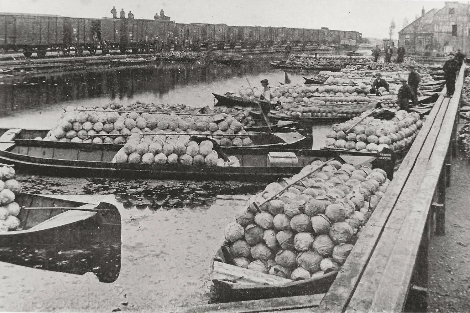 transport 2 kopiëren