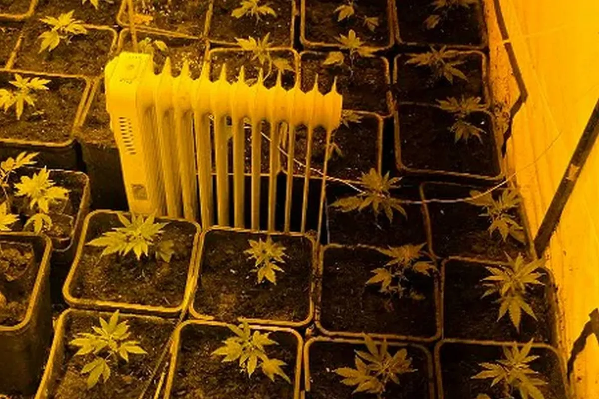 2e42418e-49b7-4701-a41d-491d2d936a09