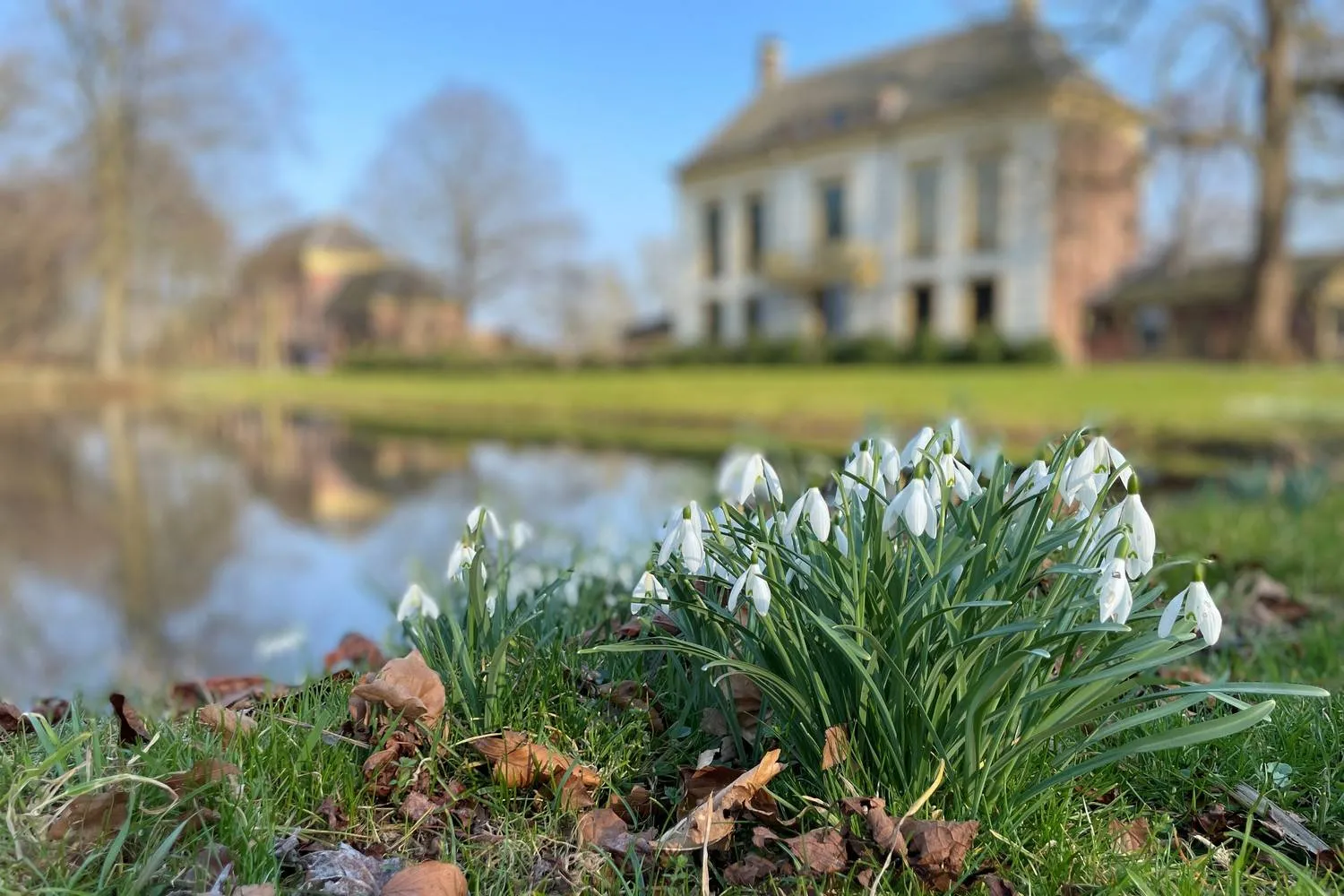 Sneeuwklokjes, vijver, huis en koetshuis
