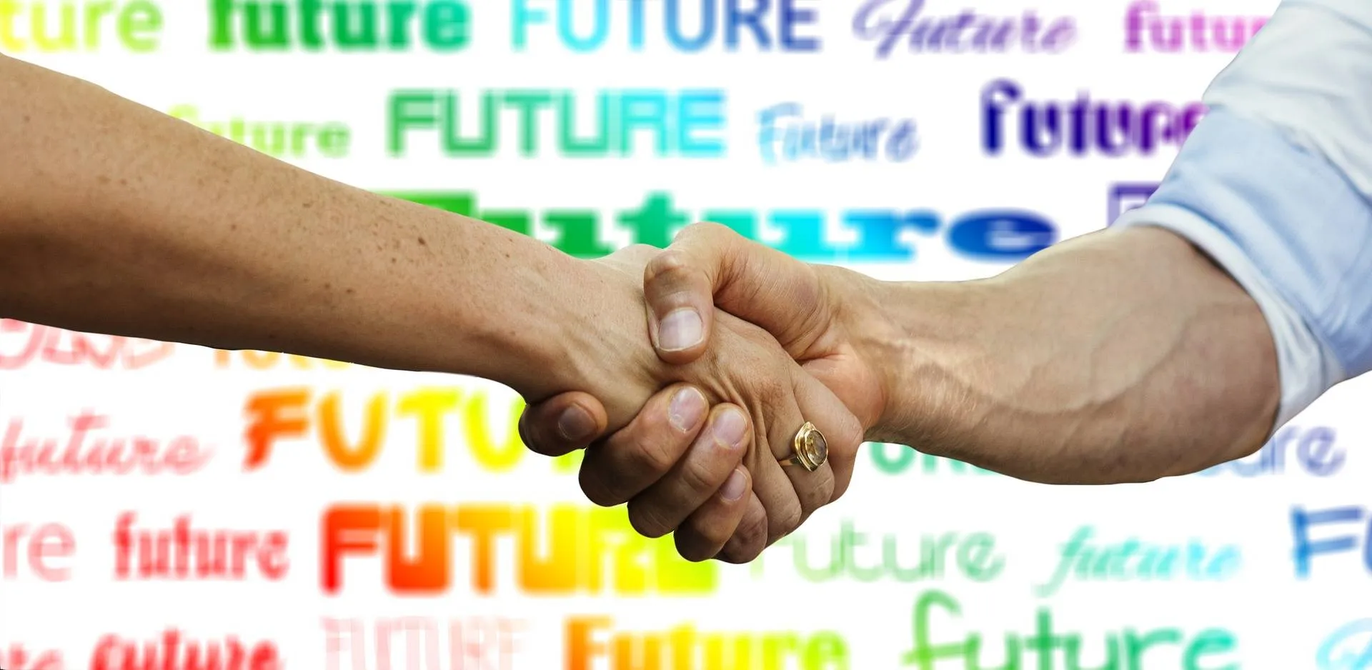 Vertrouwen Politiek Toekomst (© pixabay)