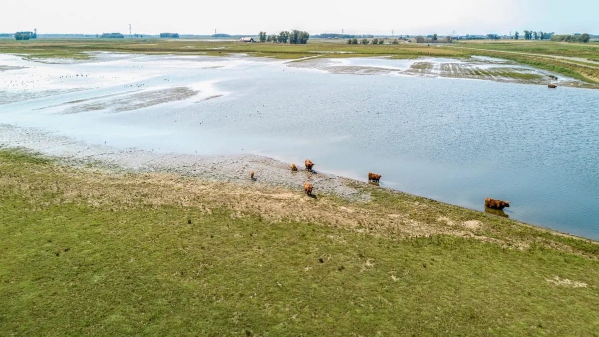 biesbosch 12059 noordwaard