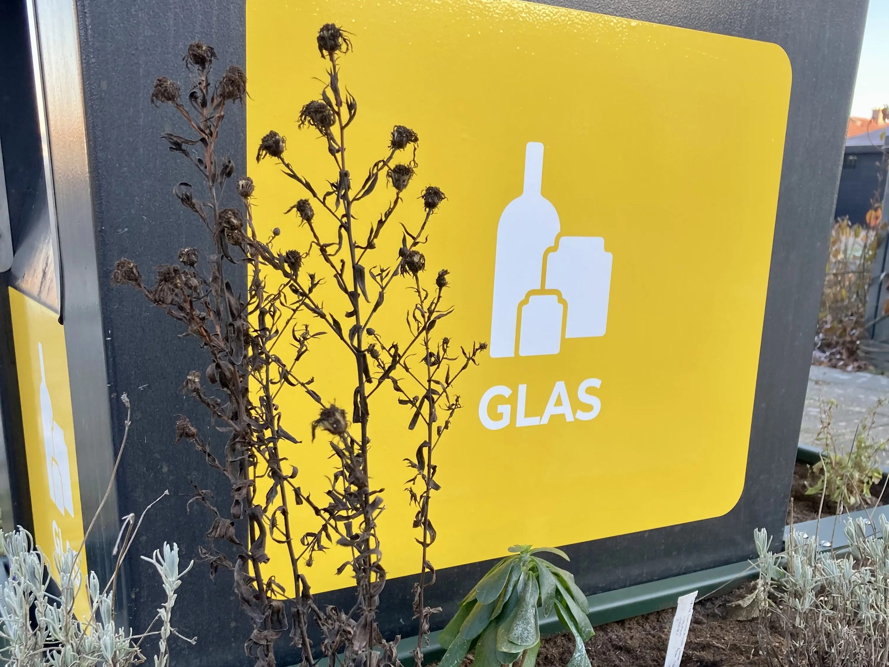 glasbak