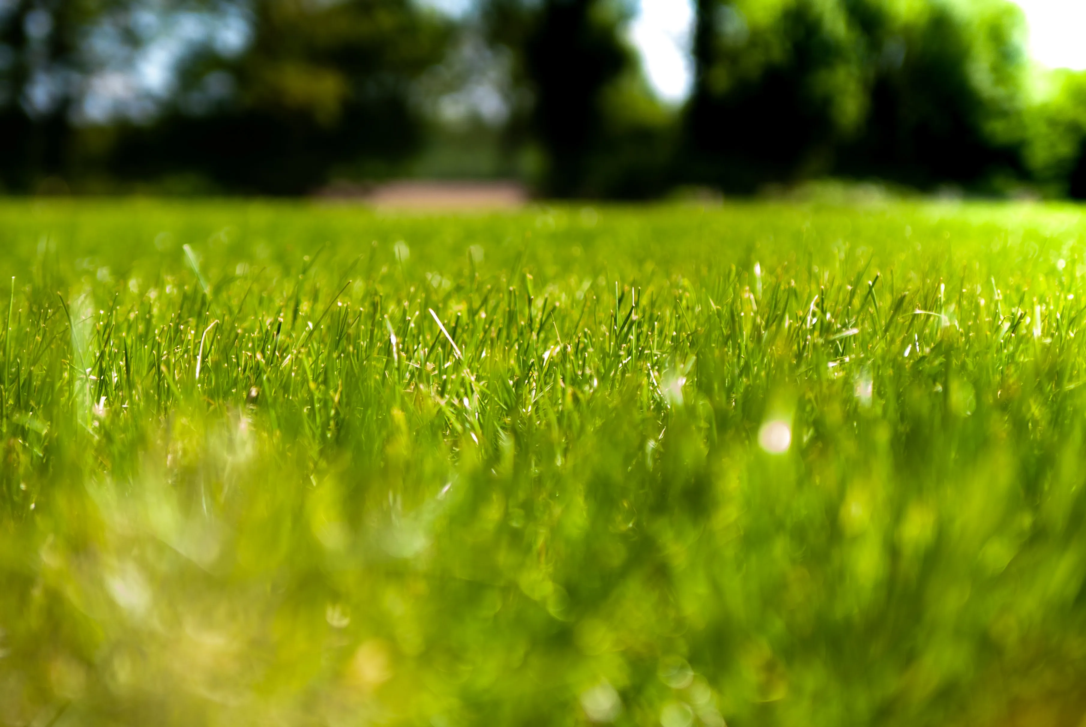 jorien loman 5smkfguk5hw unsplash