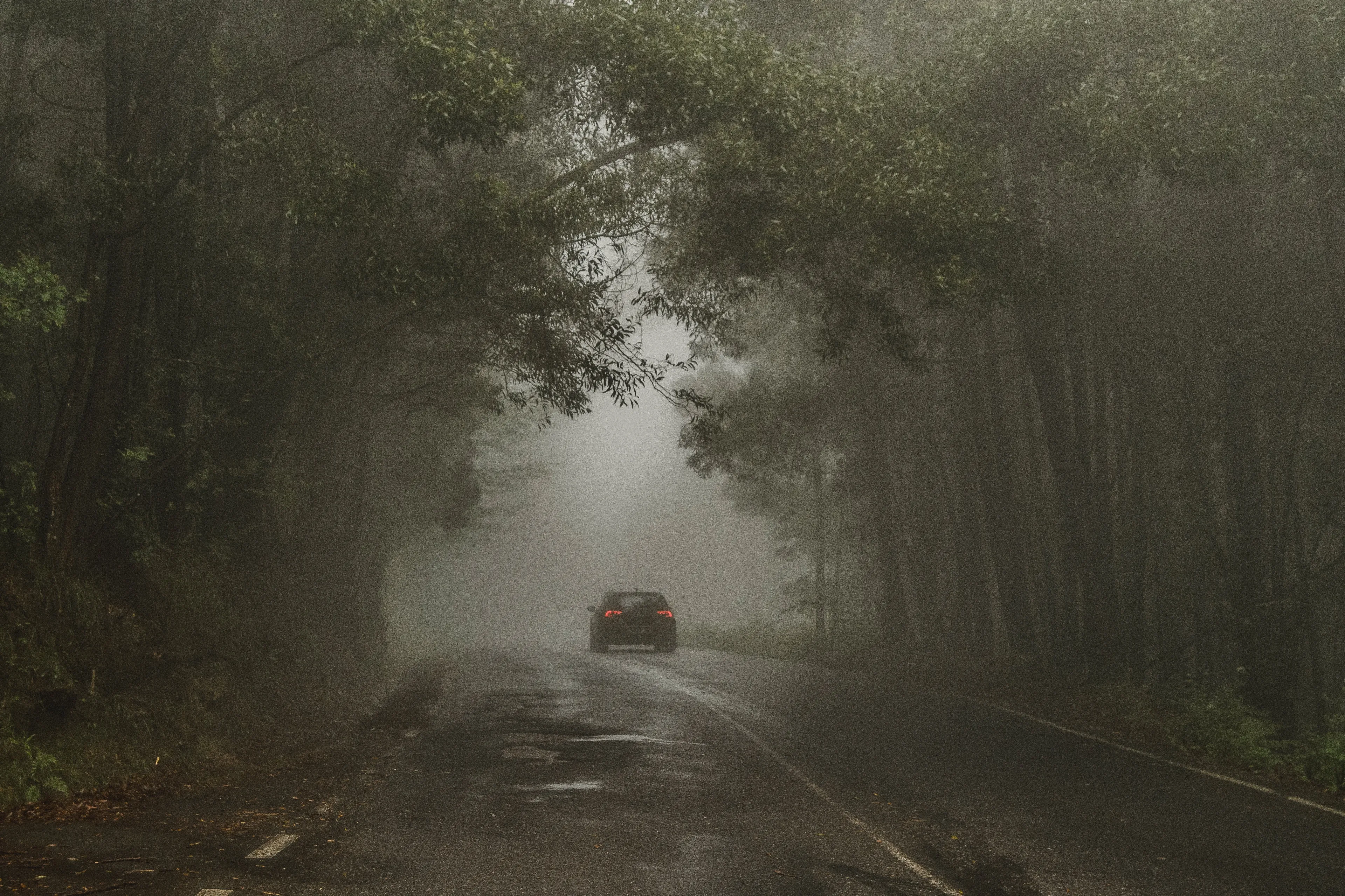 pexels pedro figueras 626155