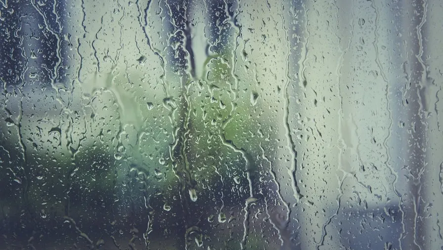 regen