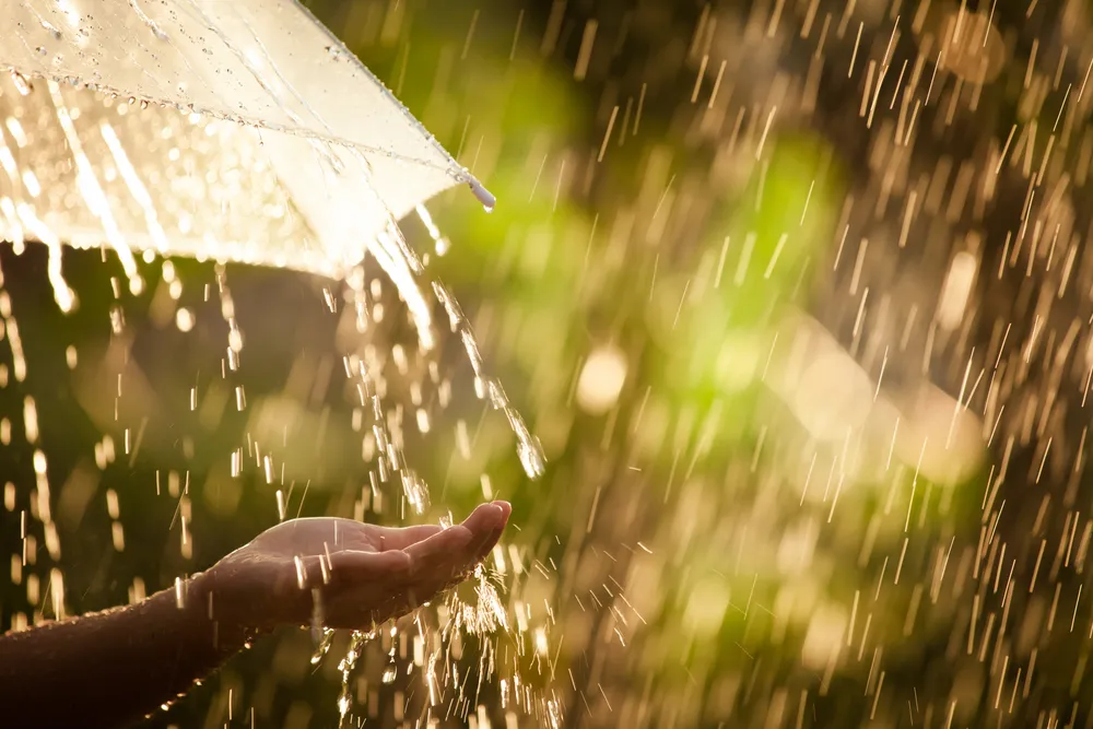 shutterstock 652028218