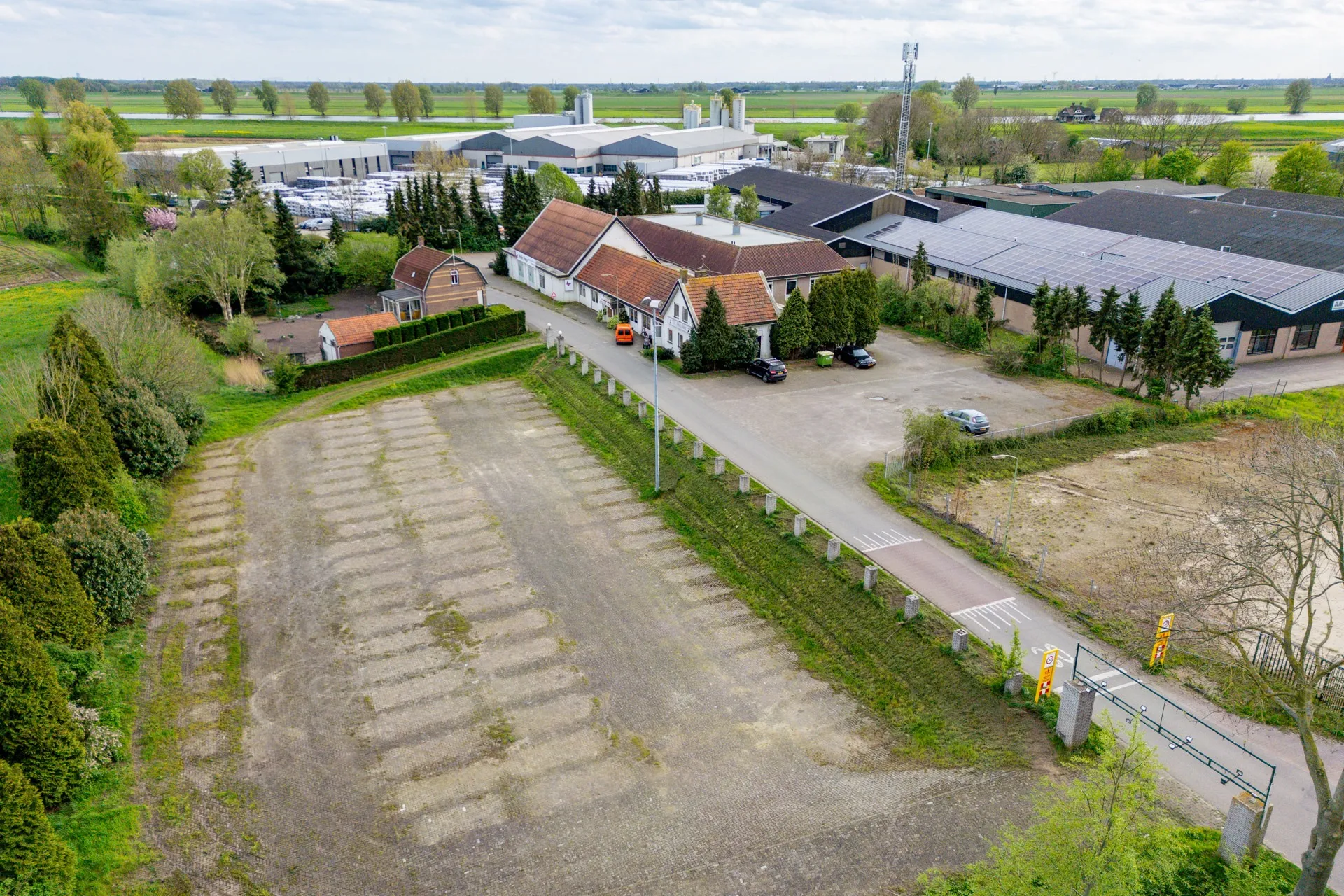 rietpluim dussen