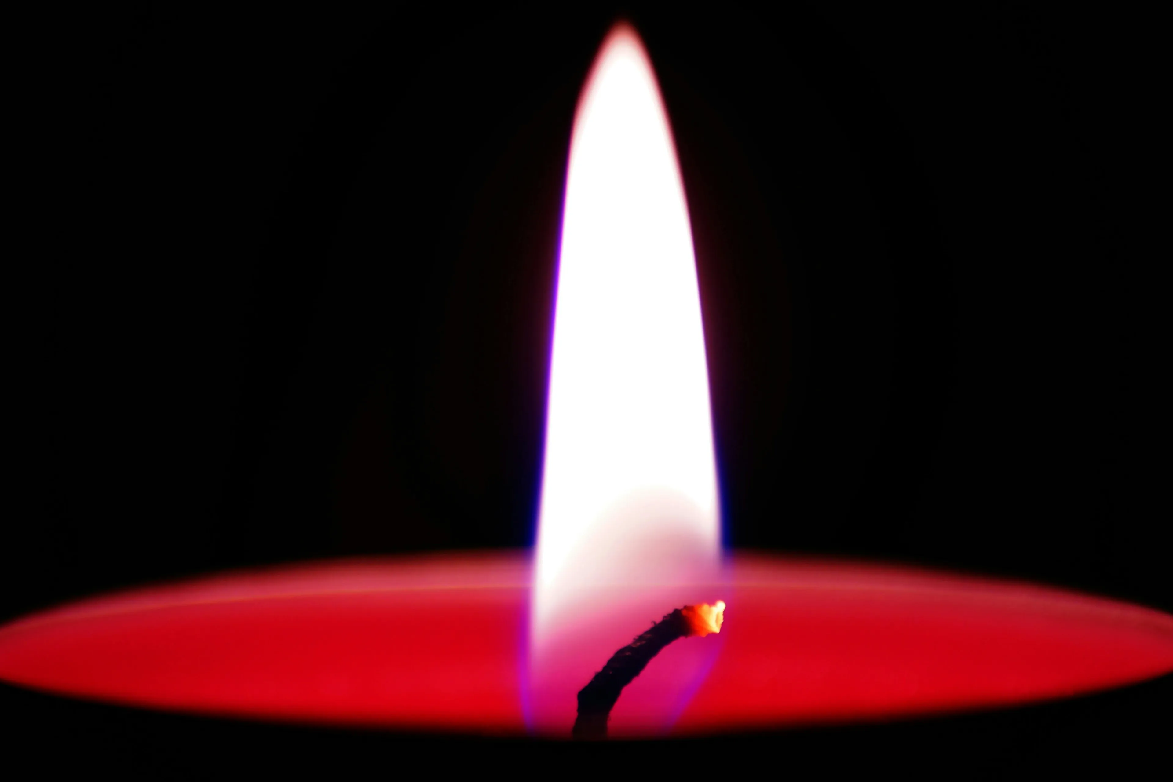 pexels-eye4dtail-689998