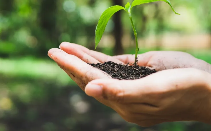 Gratis compost op te halen in Almkerk voor inwoners Altena