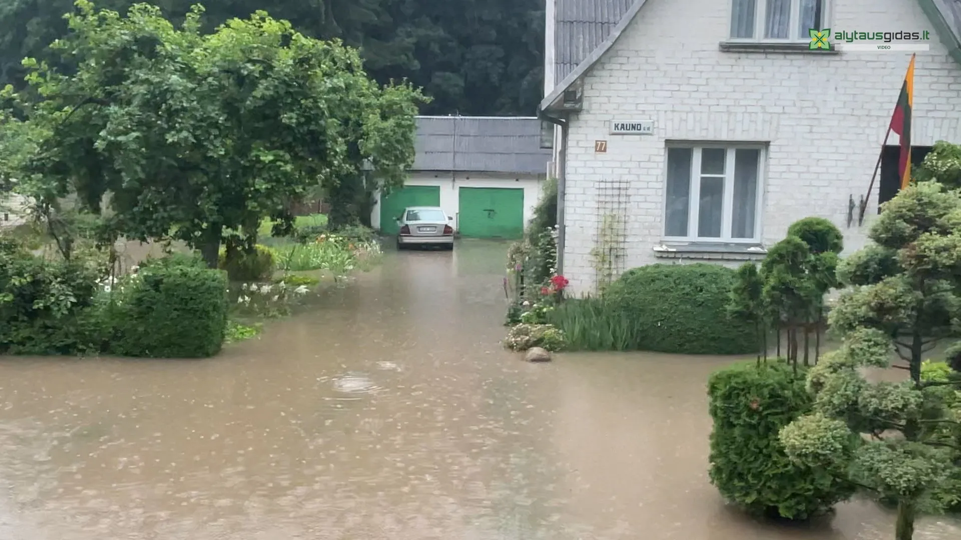 03 po reportazo00 00 52 02still008 1