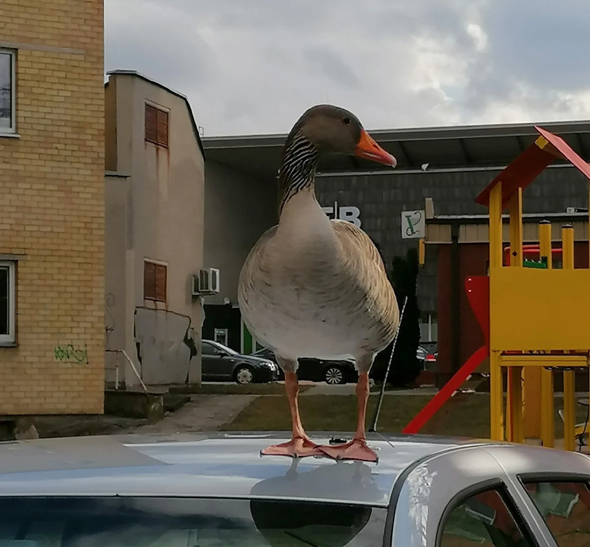 160830406 140822354596099 6845551477131440744 nss