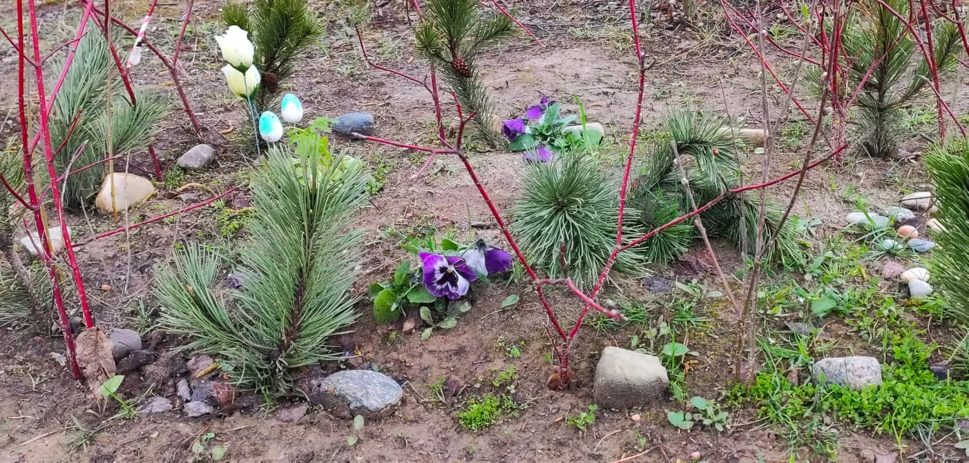 181295830 2682369528720296 66798882748058976 n